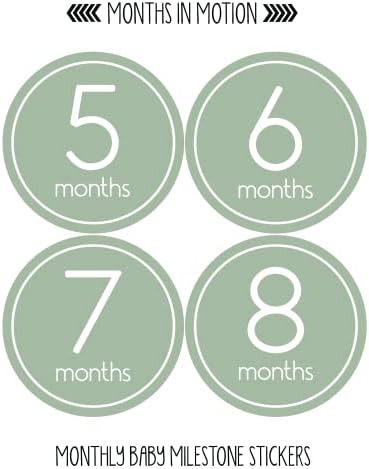 חודשי תינוק מיילסטון מדבקות / סט של 24 חודש ראשון שנה יילוד תינוקות צמיחה מדבקה לתינוקות / מקלחת מתנה ילדה
