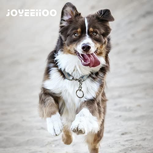 צווארון כלבים רפלקטיבי של Joyeeeioo, צווארון מרטינגייל לכלבים עם צווארון תלוש ניילון מתכוונן, צווארוני כלבים