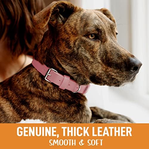 צווארון כלבי עור מקורי של PawMob Premium, עור גרגר מלא רך וגמיש עם 2 טבעות D, עבור כלבים גדולים בינוניים קטנים