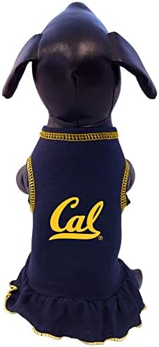 קליפורניה הזהב דובים מעודדת כלב השמלה