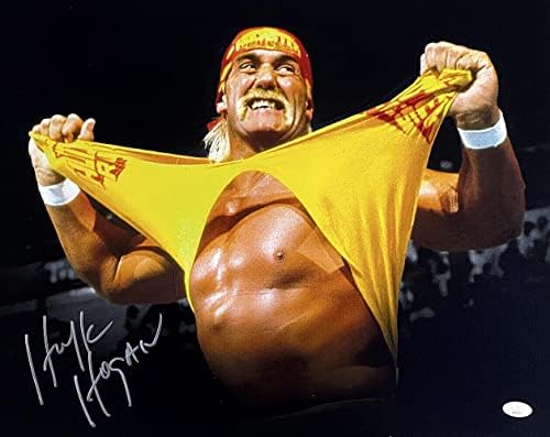 Hulk Hogan חתם על חולצת WWE 16x20 WWE RIP צילום IGNSTING JSA AF39272 - תמונות היאבקות עם חתימה