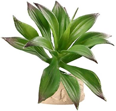 Popetpop Soculents צמחים צמחים מלאכותיים תפאורה צמח חממה - צמח פלסטיק ירוק חממה טנק זוחל זוחל עיצוב עיצוב