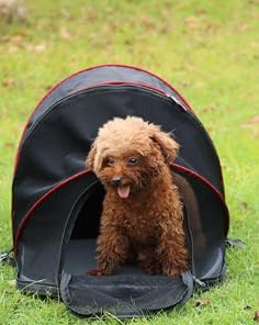 אוהל חיות מחמד מלונה חיצונית חיצונית כלבים קטנים כלבים חתול מלונה מתקפלת ונשלפת