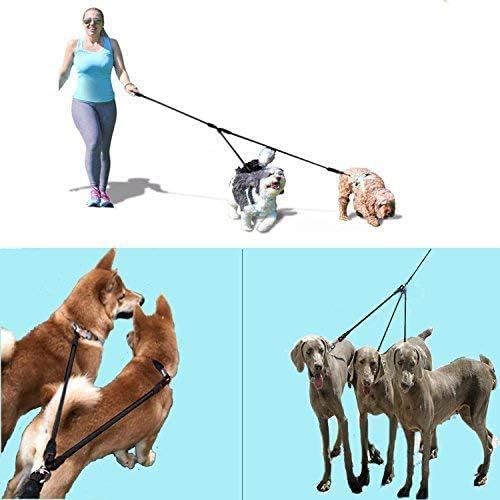 3 רצועות כלבים, כבד 3 דרך רצועת כלבים ללא סבך, רצועה מרובה כלבים ניתנת להסרה 360 מעלות עם ידית מרופדת רכה, להליכה ולאילוף