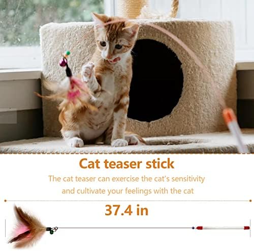 ארגז חול לחתולים מקורה ערכת התחלה, ערכה חדשה כוללת 10 יחידות - ארגז חול, מחצלת שריטה לחתול, קערות חתול, צעצוע עכבר
