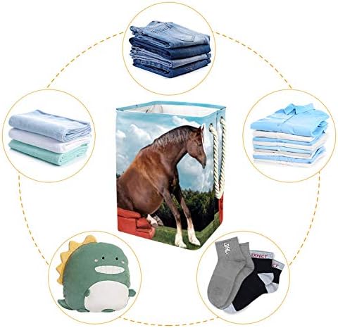 דייה פוטומניפולציה סוס בעלי חיים חופשה סלי כביסה סל מתקפל גבוה ויציב לילדים בוגרים בני נוער בנות בחדרי שינה אמבטיה