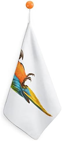 מגבת יד מודפסת של ציפור תוכי עם לולאה תלויה סופגת למטבח אמבטיה