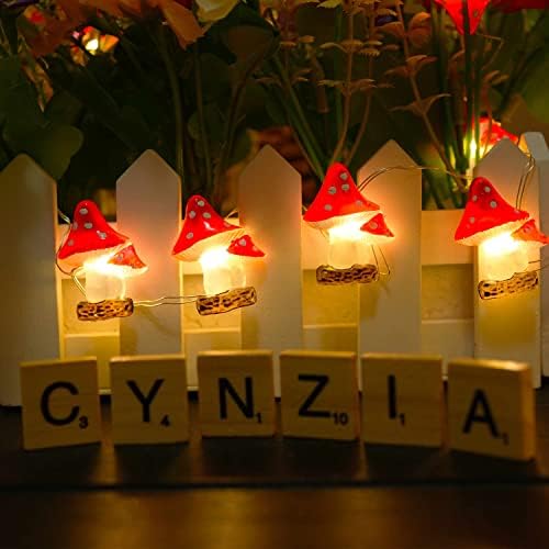 אורות מיתרים של עיצוב פטריות של Cynzia, אורות אסתטיים בגודל 13ft 13ft סוללה אורות חג מולד המופעלים על חג המולד, אורות