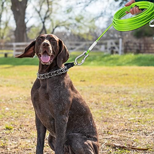 רצועת כבלים כלבים חזקים ירוקים עם רצועת כבלים עם בוקלה פלדה, 10/20/30/50/100 רגל כבל כבל כבל לכלבים של עד 250 קילוגרמים,