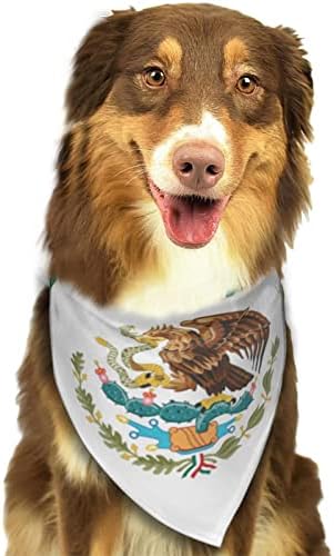 מקסיקו דגל מחמד כלב כלב כלבל