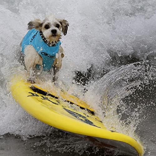 ז'קט השפעה על כלב פרך לשחייה, בגד ים של חיות מחמד, שייט בחוף עם ראות גבוהה, גלישת אפוד השפעה על כלבים קטנים/בינוניים/גדולים
