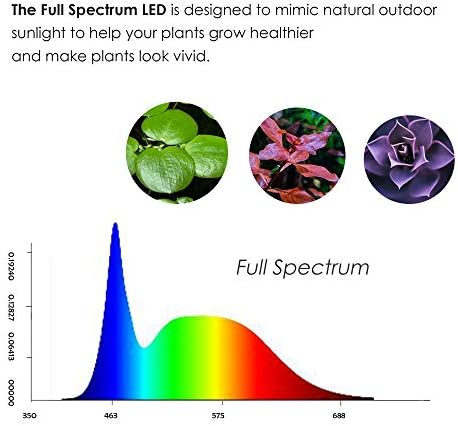 Hiro Aquatics Nano Aquarium ללא שפה עם ננו עם ספקטרום מלא LED עם דוכן במבוק, למיכל דגים בטא, וובי קוסה וצמחים מימיים