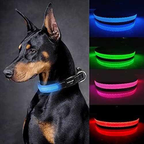 ASOYA PET LED צווארון בטיחות כלבים עם USB נטען נטען כלב בהיר צווארון מהבהב עם אטום למים, 4 צבעים עם 3 גדלים לכלבים