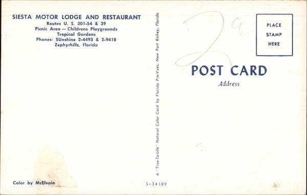 לודג 'מנועי סיסטה ומסעדה Zephyrhills, פלורידה פלורידה גלויה וינטג' מקורית