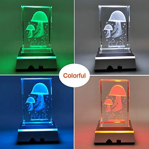 Ifolaina LED BASE BASE LED לאמנות זכוכית ריבוע צבע רב -צבעוני צבע הצג עמד