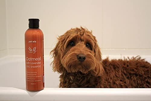 שיבולת שועל עם שמפו לכלבים לבנדר-תמצית שמן קוקוס / פרוביטמין ב5 / ידידותי טבעי וטבעוני