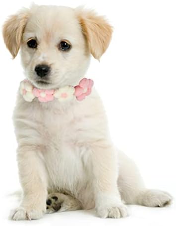 שרשרת פנינה של IBASENICE שרשרת פנינה עיצוב חתונה כלב עניבת פרח כלב פרח צווארון מחמד פרח פרח מעוצב שרשרת גור לכלב חיצוני צוואר