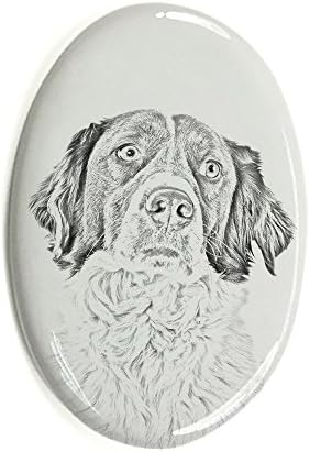 צרפתית ספנייל, מצבה סגלגלה מאריחי קרמיקה עם תמונה של כלב