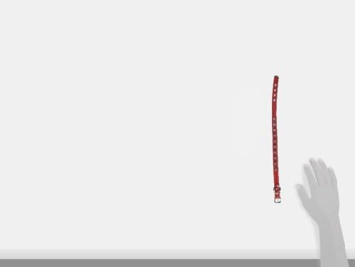 צווארון אוונס צווארון 1/2 אינץ 'עם צבעי תכשיט לסירוגין, גודל 14, ויניל, אדום