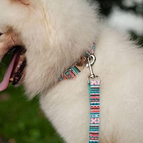 חגורות בלאקו 2 יחידות בוהמי חיות מחמד כלב צווארון כלב רצועת רצועת רצועה רצועת רצועת כלב רצועת רצועת רצועת צווארון מהיר