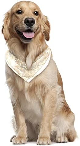 כלב בנדנה - 2 חבילות חיית מחמד אידיאלית, צעיף צוואר יומי של צוואר לחתולי כלבים קטנים עד גדולים, חתול מרובע צווארון