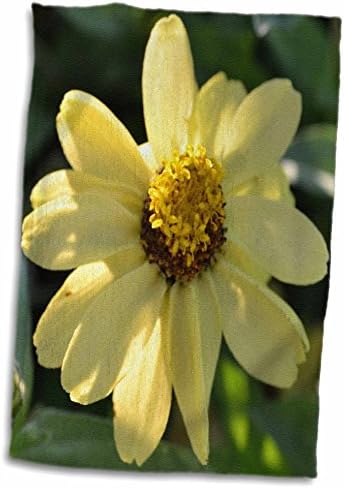3ד רוז צהוב בהיר זיניה פרחוני-פרחים-צילום מאקרו טוול_36234_1 מגבת, 15 איקס 22