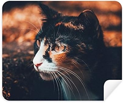 חום חתול לבהות פרופיל בעלי החיים בציר ניקוי בד מסך מנקה 2 יחידות זמש בד