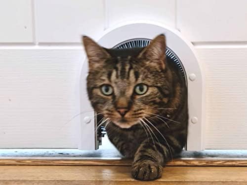 קתול פלסטיק חתול דלת אקו דגם-מקורי פנים חתול דלת, מתקין בקלות, נשלף טיפוח מברשת