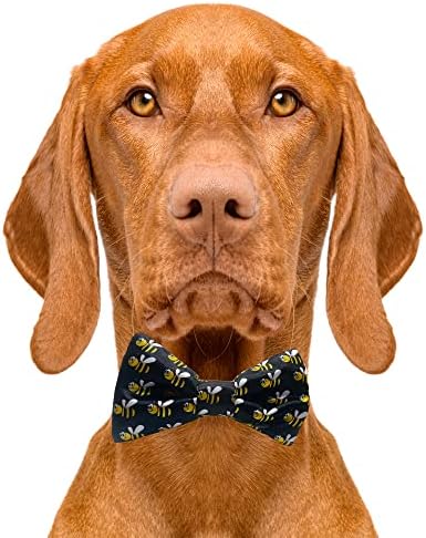 עניבות חמודות עניבת דבורים דבורים - 2 x 4 פרמיום קשת קשת איכות לכלבים - עניבת כלבים מפוארת עם החלקה מעל להקות