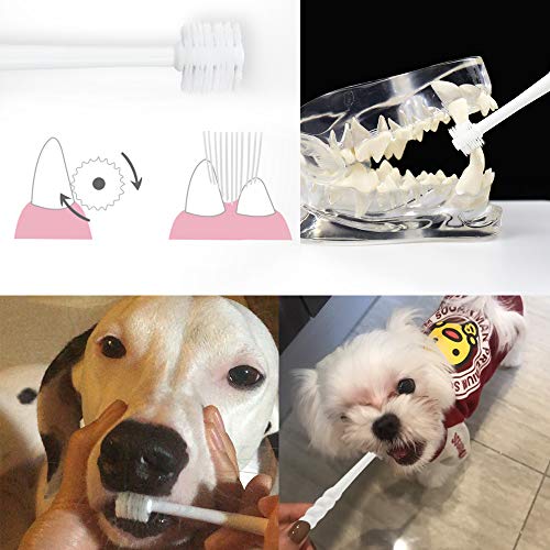360 - תואר רך יורקשייר טרייר מברשת שיניים, כלבים קטנים גור מברשת שיניים