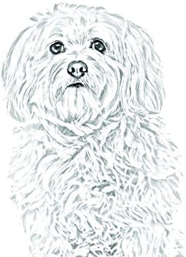 האוואני, מצבה סגלגלה מאריחי קרמיקה עם תמונה של כלב