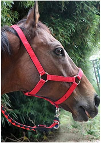 סטנדרטי רסן סוס רכיבה על סוסים מושכות רכיבה עור פוני רסן עבור סוס אביזרי סוס מירוץ ציוד