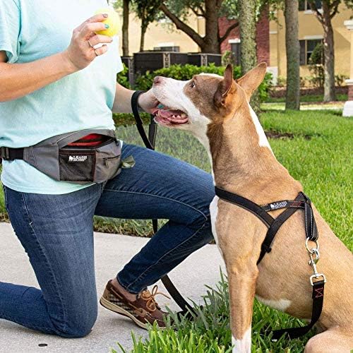 שקית אריזת רצועות רצועות וכיס פינוק - חגורת מותניים של אימון כלבים, חבילת פאני אחסון ומתקן שקיות פסולת