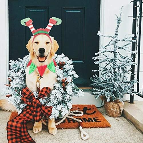 תלבושת חג המולד של כלבים, סרט ראש של שדון לחיות מחמד וקולר טוטו חג המולד