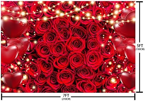 Aibiin 7x5ft אדום ורד צילום פרחוני רקע