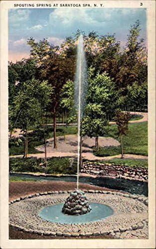 אביב הזרוע בספא סראטוגה, N.Y Saratoga, ניו יורק ניו יורק גלויה עתיקה מקורית