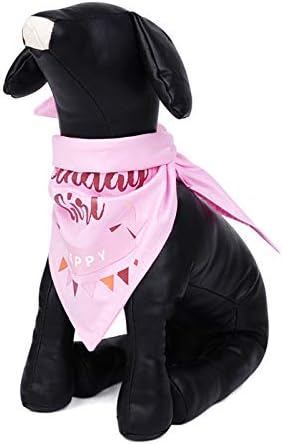 כלב בננה יום הולדת יום הולדת בנדנה סט, צעיף משולש יום הולדת שמח לכלב הילדה, כלב, גורי ליום הולדת ציוד תלבושת צווארון,
