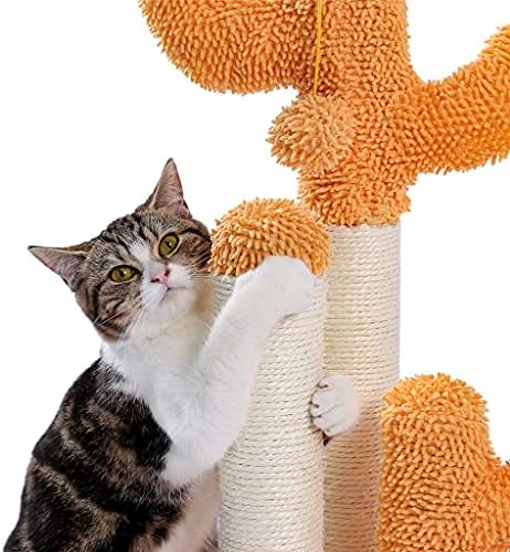 קקטוס חתולי גרוד עם סיסל חבל חתולי גרדן קקטוס עבור צעירים ומבוגרים חתולי חתולי טיפוס מסגרת צעצוע
