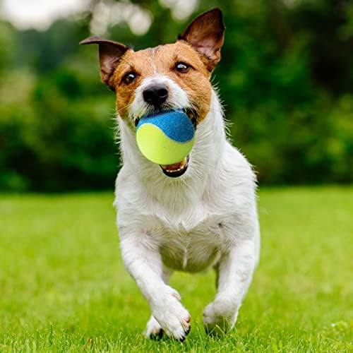 כדורי טניס קלאסיים של JY, 3,12 חבילות אימוני כדורי טניס אימונים כדורים, כלב מחמד משחק כדורים, מגיעים עם תיק רשת לחיית מחמד