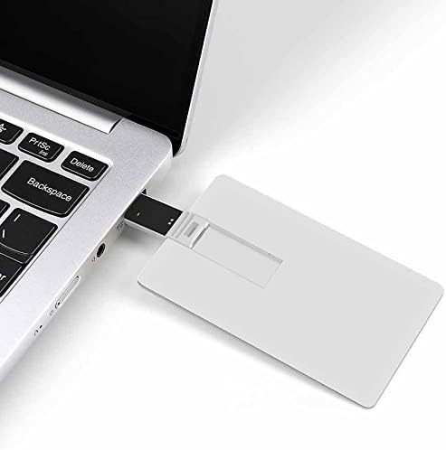 פומרניאן ארמן שפיץ כרטיס אשראי כלב USB פלאש פלאש מזיכרון מותאם אישית מקל אחסון מפתח כונן 64 גרם