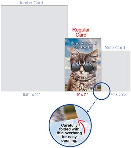 חברת הכרטיסים הטובה ביותר - 1 כרטיס ברכה ליום הולדת לחתול עם מעטפה - נייר מכתבים של חתלתול חמוד, Bday Notecard - Kool
