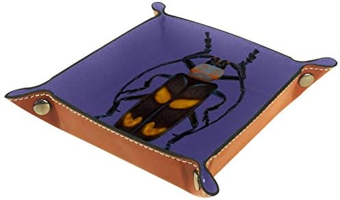 תיבת אחסון חרקים של Lyetny מחזיק סאנדרס מגש מארגן אחסון שולחן עבודה נוח לנסיעות, 16x16 סמ