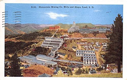 Homestake Mining Co.