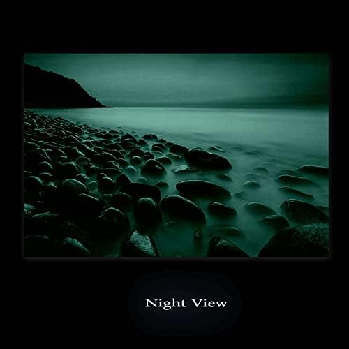 זכוכית קיר אמנות להתחיל לילה אקריליק דקור ערפל על החוף, מופשט יצירות אמנות 24 איקס 36