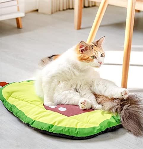 כרית חיות מחמד יצירתית של חיות מחמד קיץ צבעוני קירור מיטת שינה מיטת שינה נוחה ונשימה לכלבים קטנים וחתולים קיווי