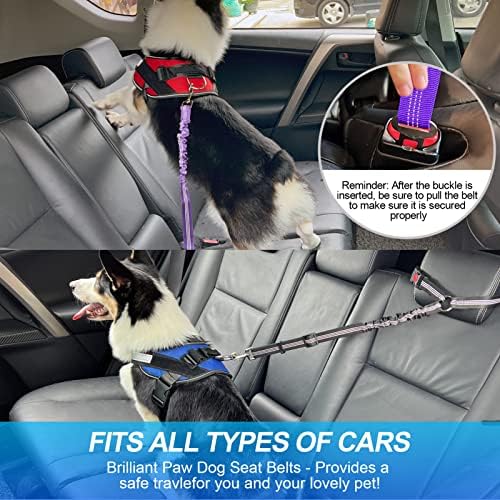 חגורת בטיחות מכונית מכונית מבריקה לכלב, חבילה 2 עם מתקן שקיות פו, מתכווננת, רפלקטיבית וסופגת זעזועים בטיחות