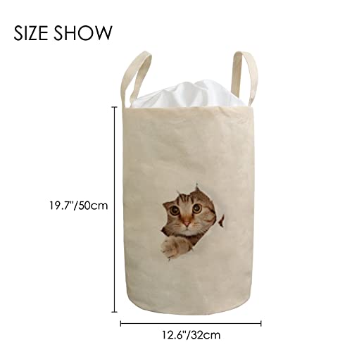 סל כביסה גדול פמר חתול גירוד נייר מתקפל על סלי אחסון בגדים עגול