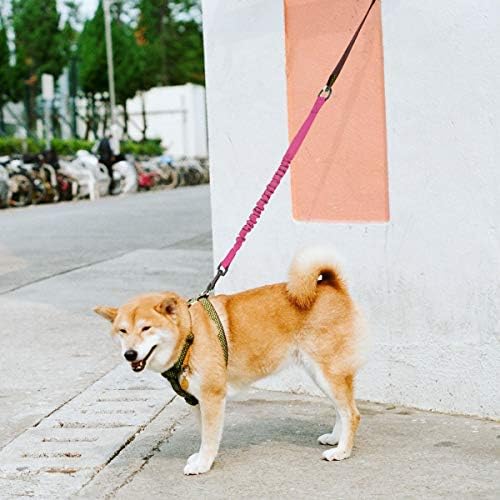 Noyal 2 חבילה 1.7 רגל רצועת כלב רצועה כבד הלם סופג הרחבה רצועה משופרת בטיחות כלבים מתאימה להליכה, ריצה, אופניים
