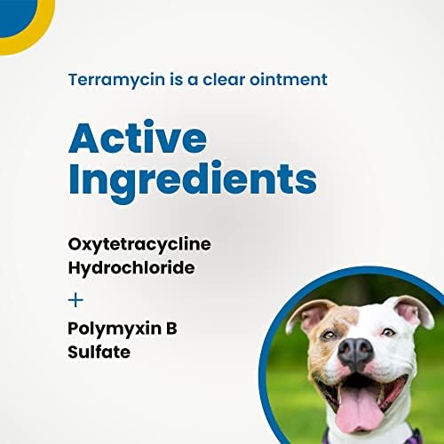 משחה אנטיביוטית טרמיצין לטיפול בדלקת עיניים בכלבים, חתולים, בקר, סוסים וכבשים, צינור 0.125 אונקיות