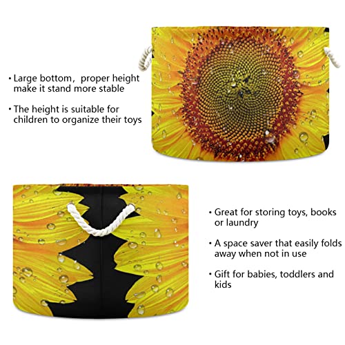 Alaza Sunflower מקרוב את פרחי האחסון פרחוני סלסלים סלסלי מתנה סלי כביסה גדולים מתקפלים עם ידית, 20x20x14 ב